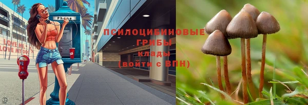 2c-b Алзамай