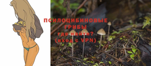 PSILOCYBIN Алексин