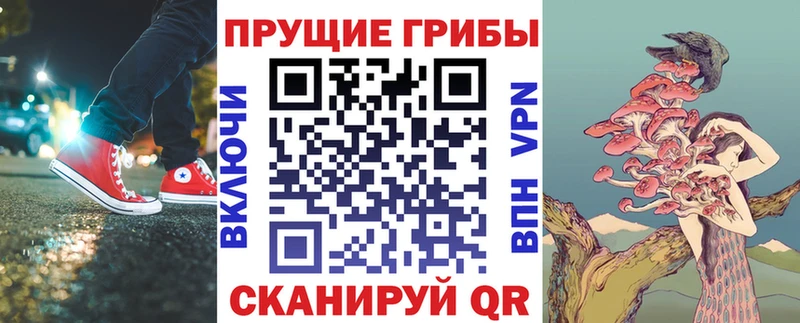 Псилоцибиновые грибы ЛСД  Рассказово 